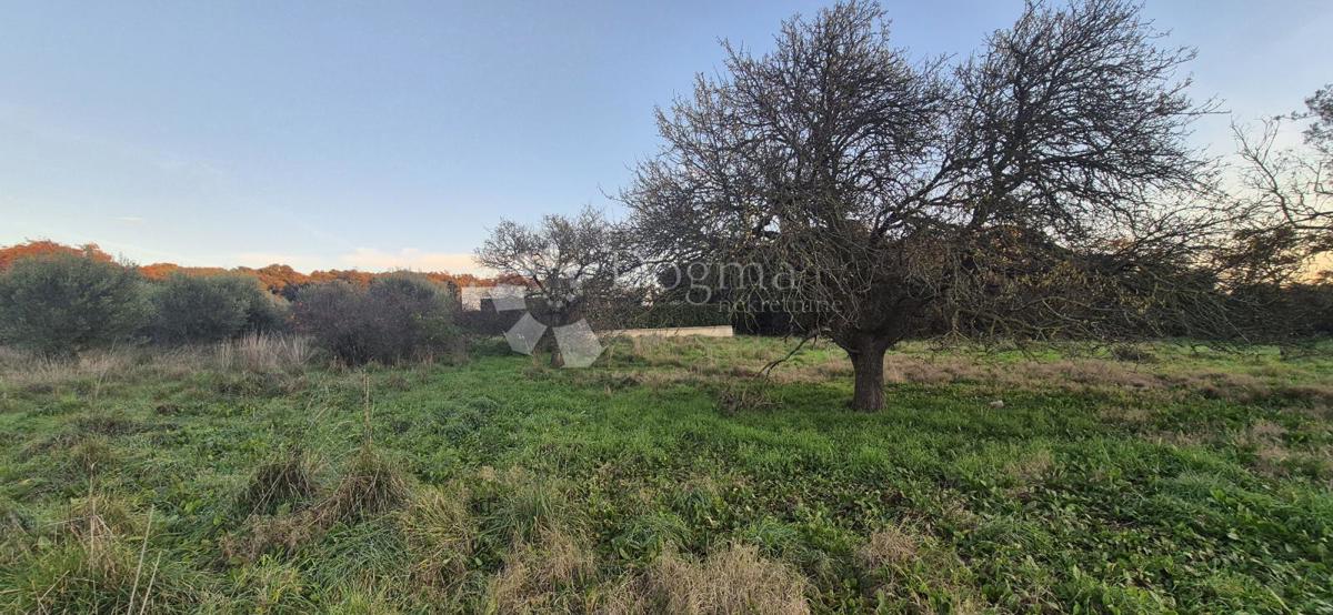 Gradbeno zemljišče 1 km od morja 