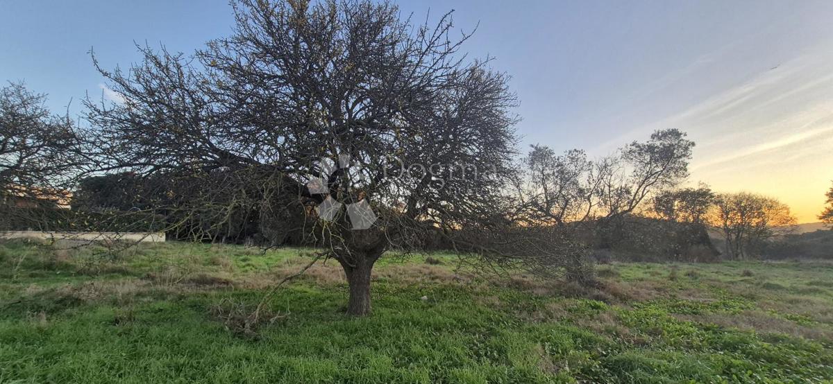 Gradbeno zemljišče 1 km od morja 