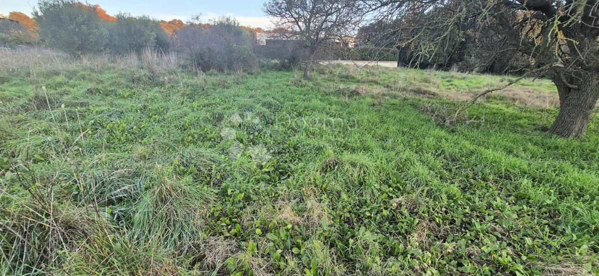 Gradbeno zemljišče 1 km od morja 