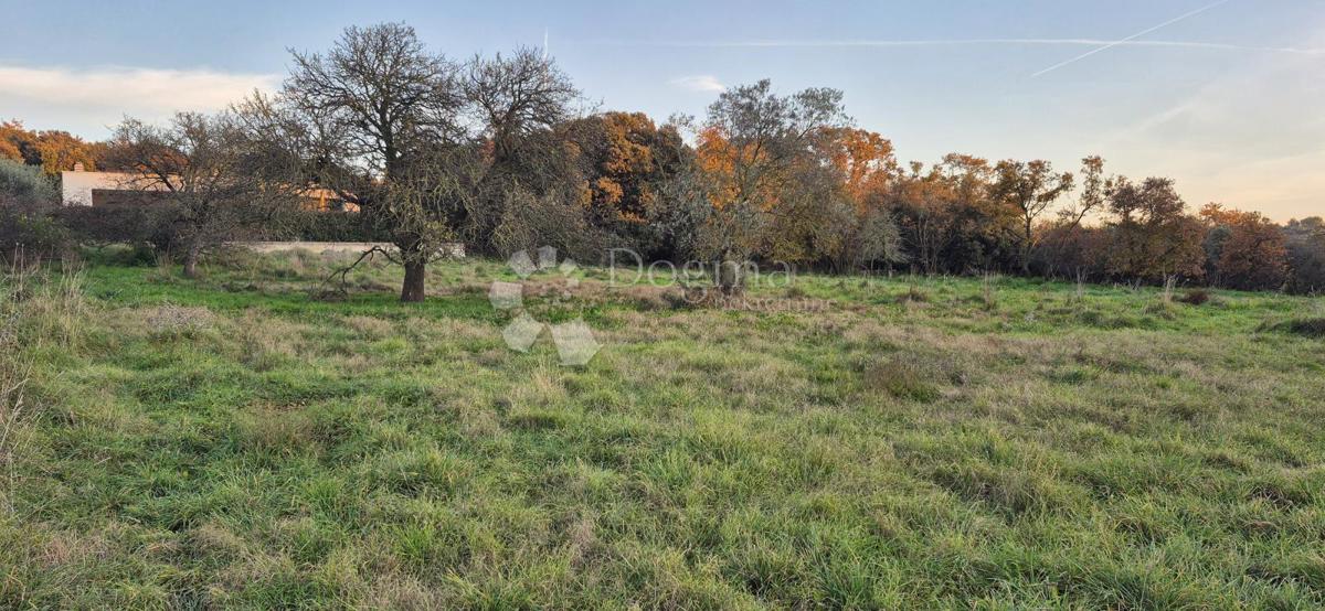 Gradbeno zemljišče 1 km od morja 