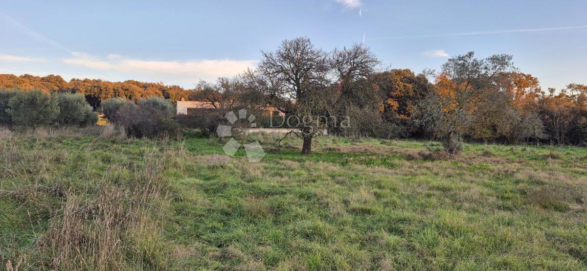 Gradbeno zemljišče 1 km od morja 