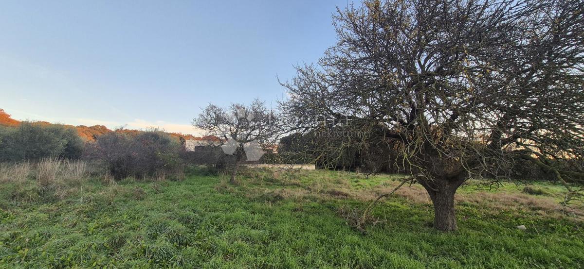 Gradbeno zemljišče 1 km od morja 