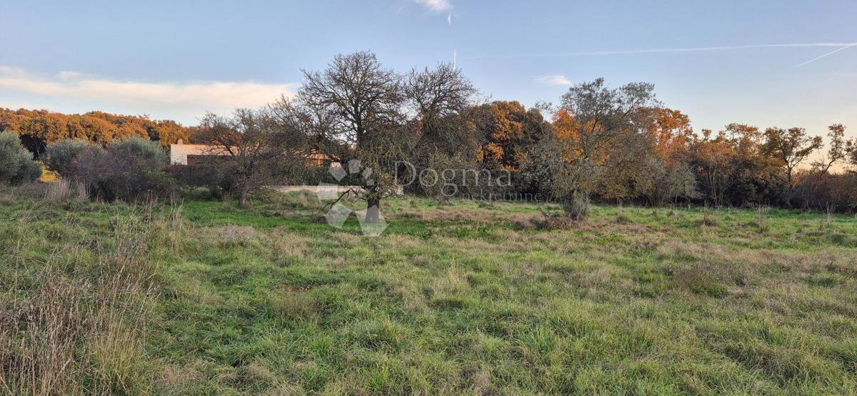 Gradbeno zemljišče 1 km od morja 