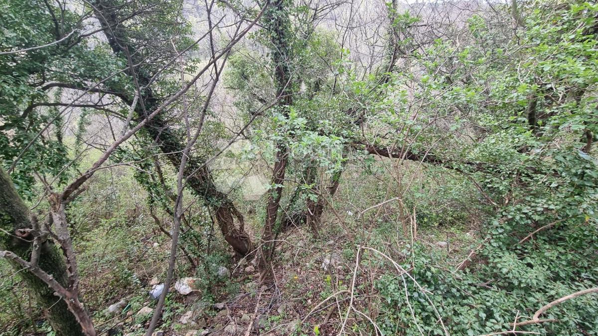 Zazidljivo zemljišče Draga, Rijeka, 9.778,50m2