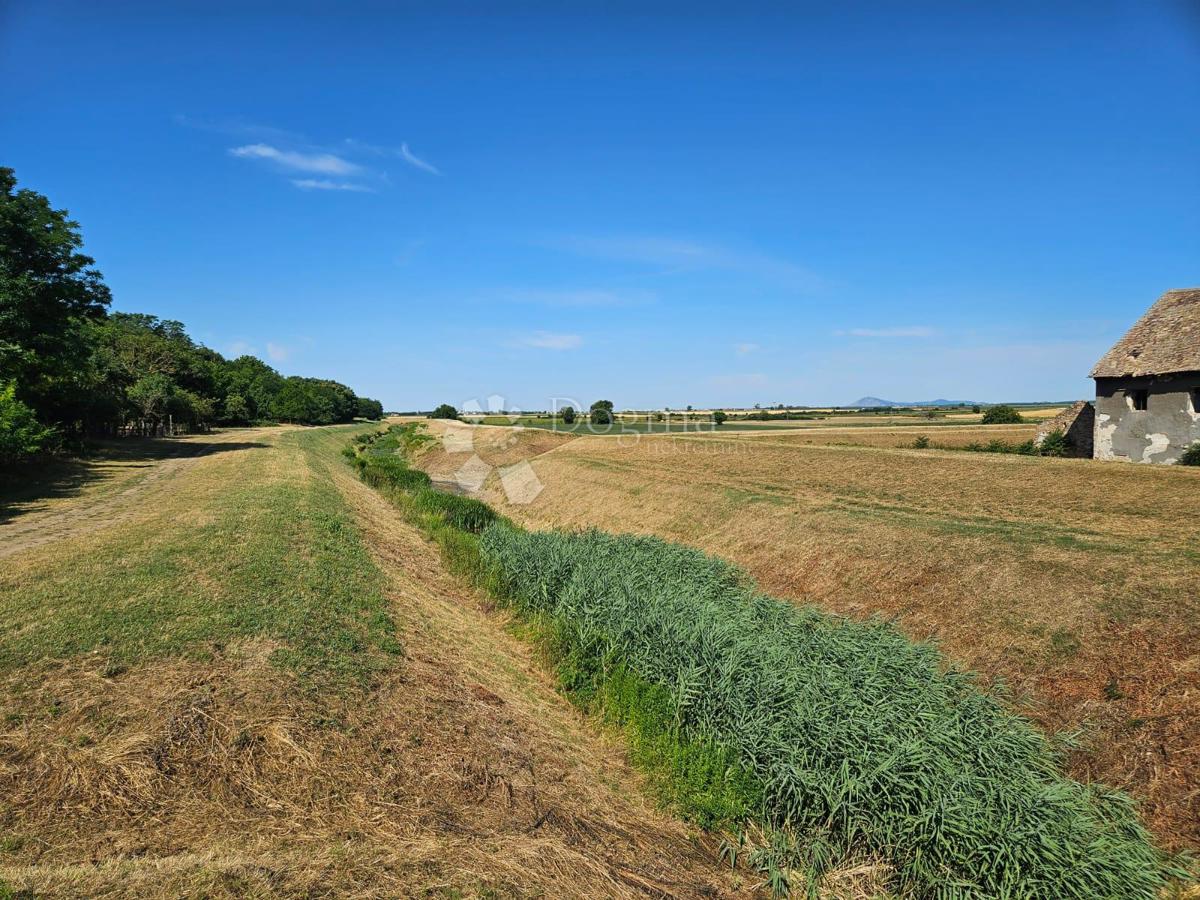 Poslovni prostor Branjina, Popovac, 273m2