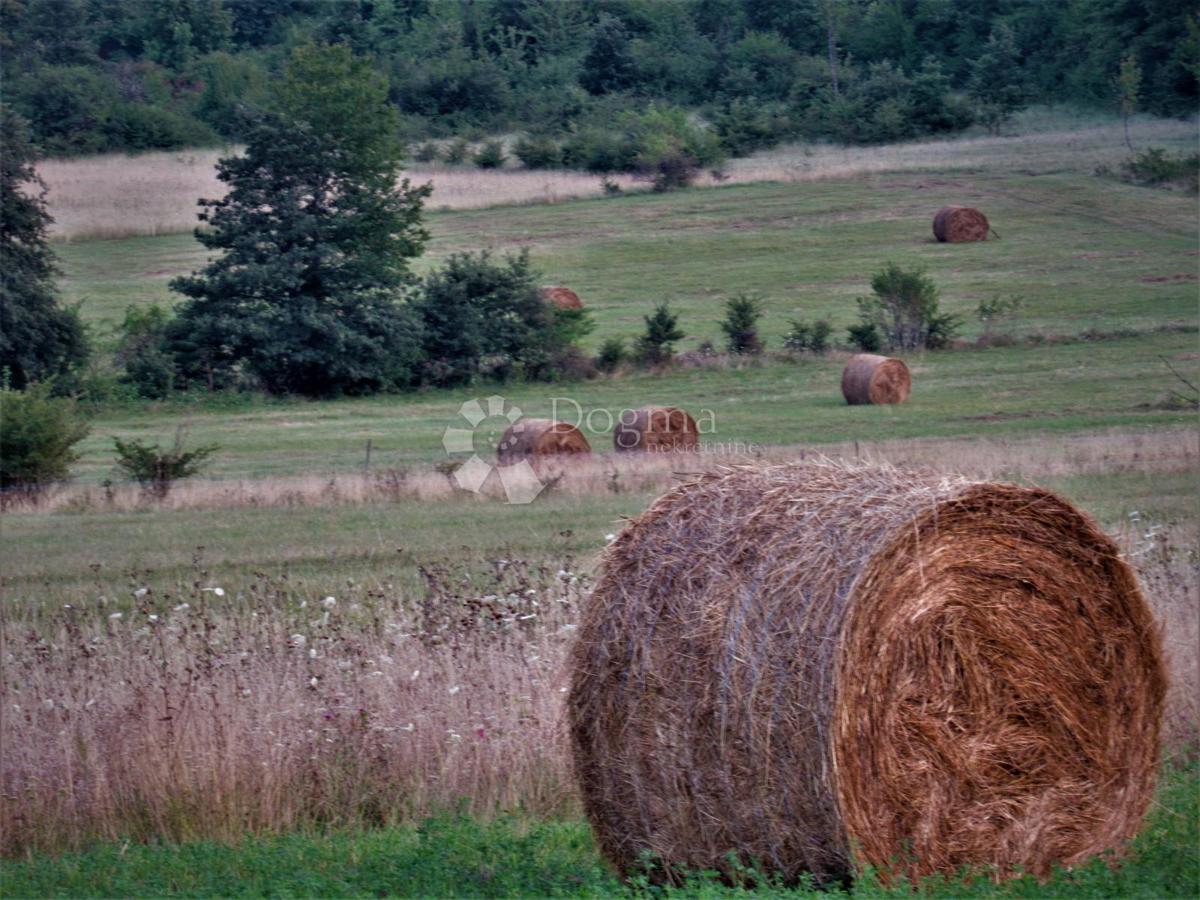Kmetijsko zemljišče Kruge, Donji Lapac, 3.338m2