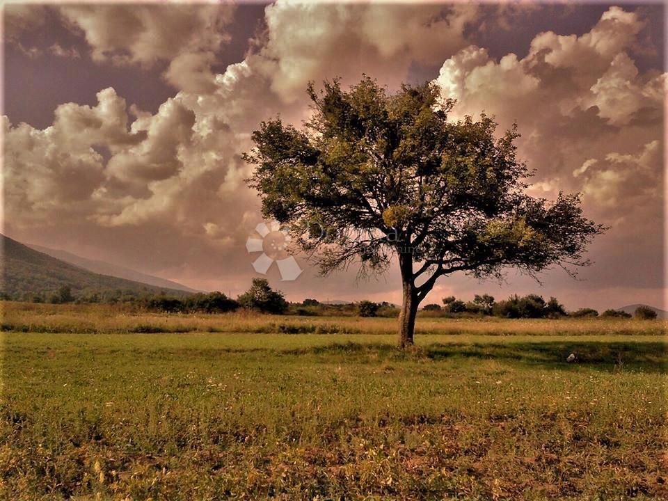 Kmetijsko zemljišče Kruge, Donji Lapac, 3.338m2