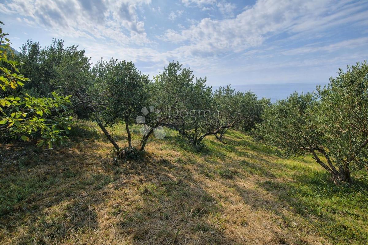 Zazidljivo zemljišče Sveti Filip i Jakov, Sveti Filip I Jakov, 3.000m2