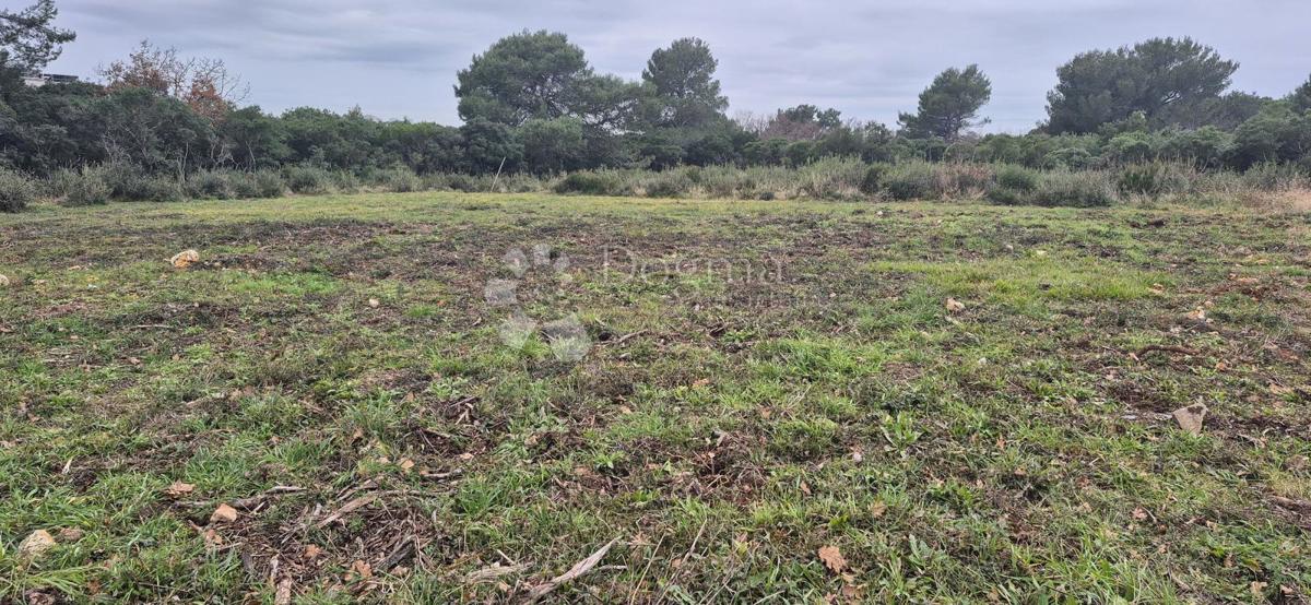 Zazidljivo zemljišče Monteserpo - Komunal, Pula, 700m2