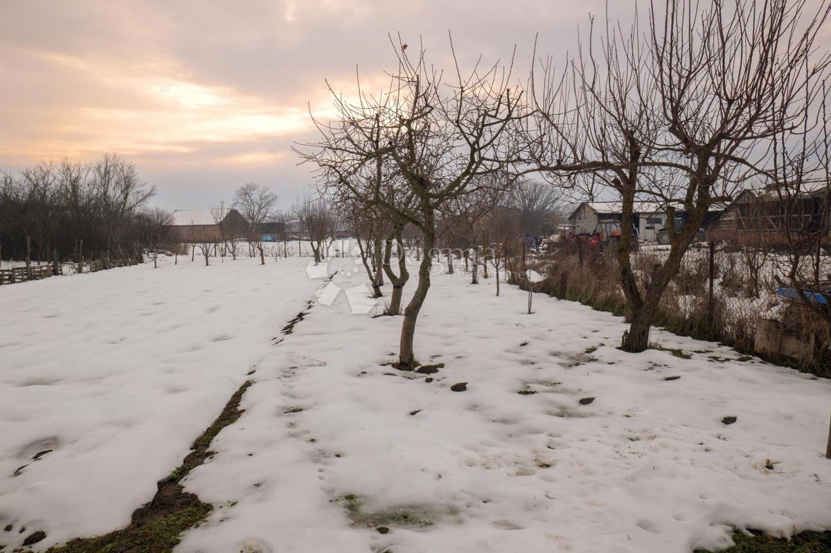 Poslovni prostor Bobota, Trpinja, 130m2