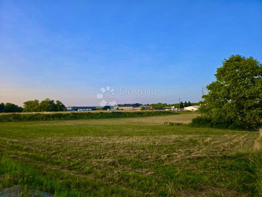 Zazidljivo zemljišče Donji Prnjarovec, Križ, 15.440m2