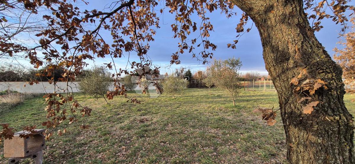 Zazidljivo zemljišče Loborika, Marčana, 1.007m2