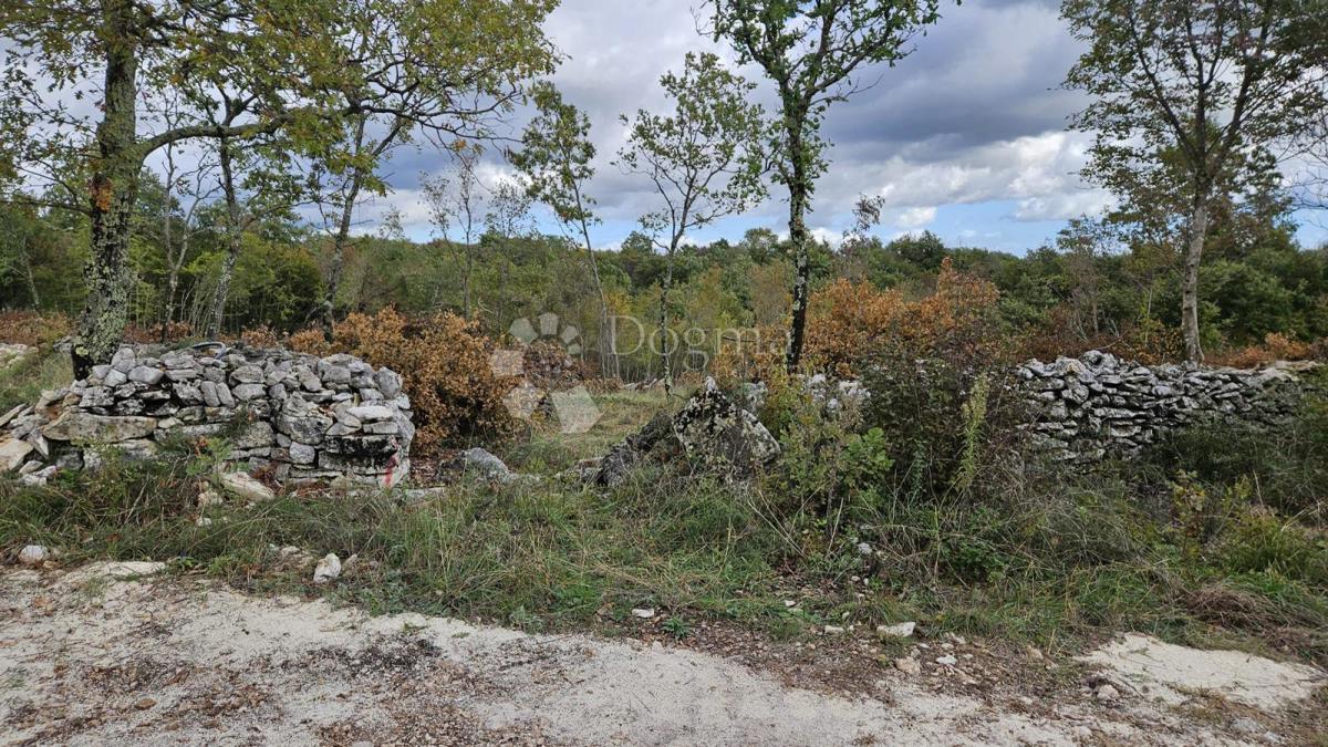 Zazidljivo zemljišče Barban, 3.445m2