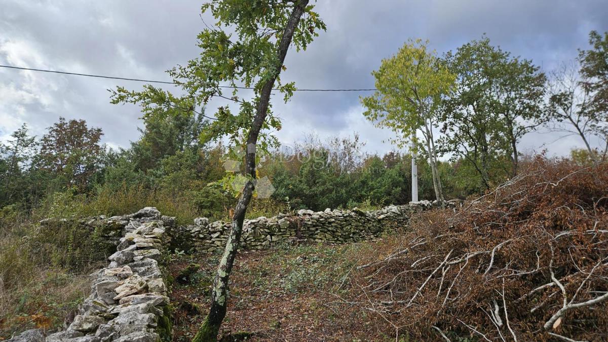 Zazidljivo zemljišče Barban, 3.445m2