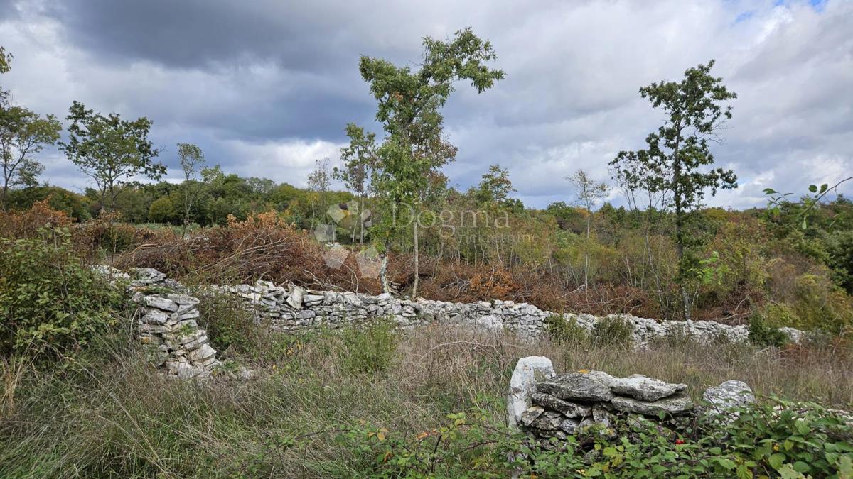 Zazidljivo zemljišče Barban, 3.445m2