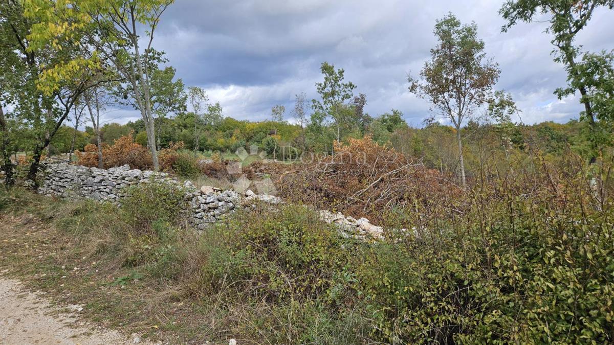 Zazidljivo zemljišče Barban, 3.445m2