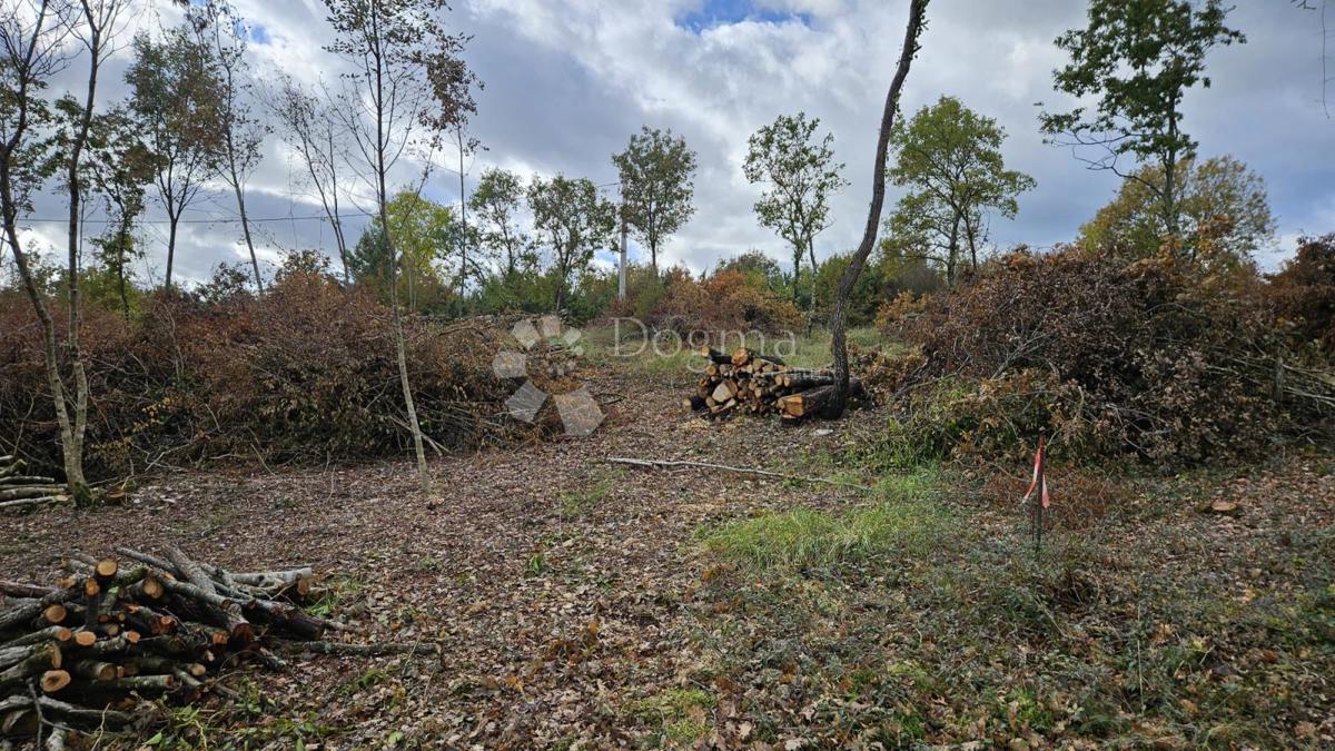 Zazidljivo zemljišče Barban, 3.445m2