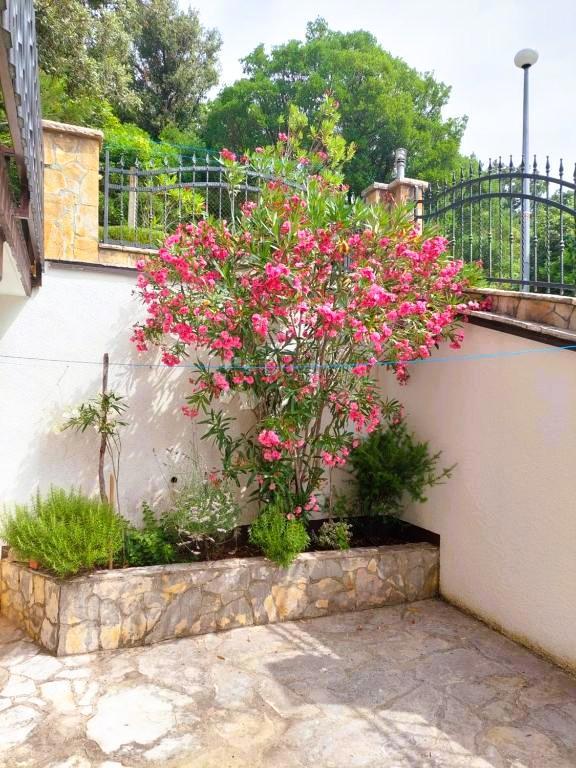 Hiša Posedarje, 360m2