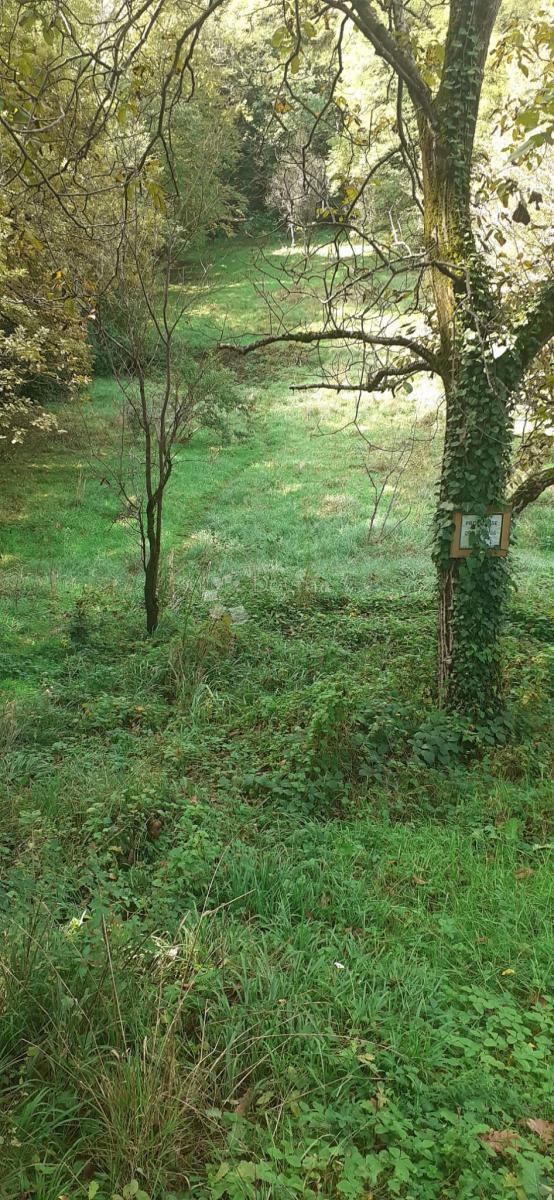 Kmetijsko zemljišče Remete, Maksimir, 2.290m2