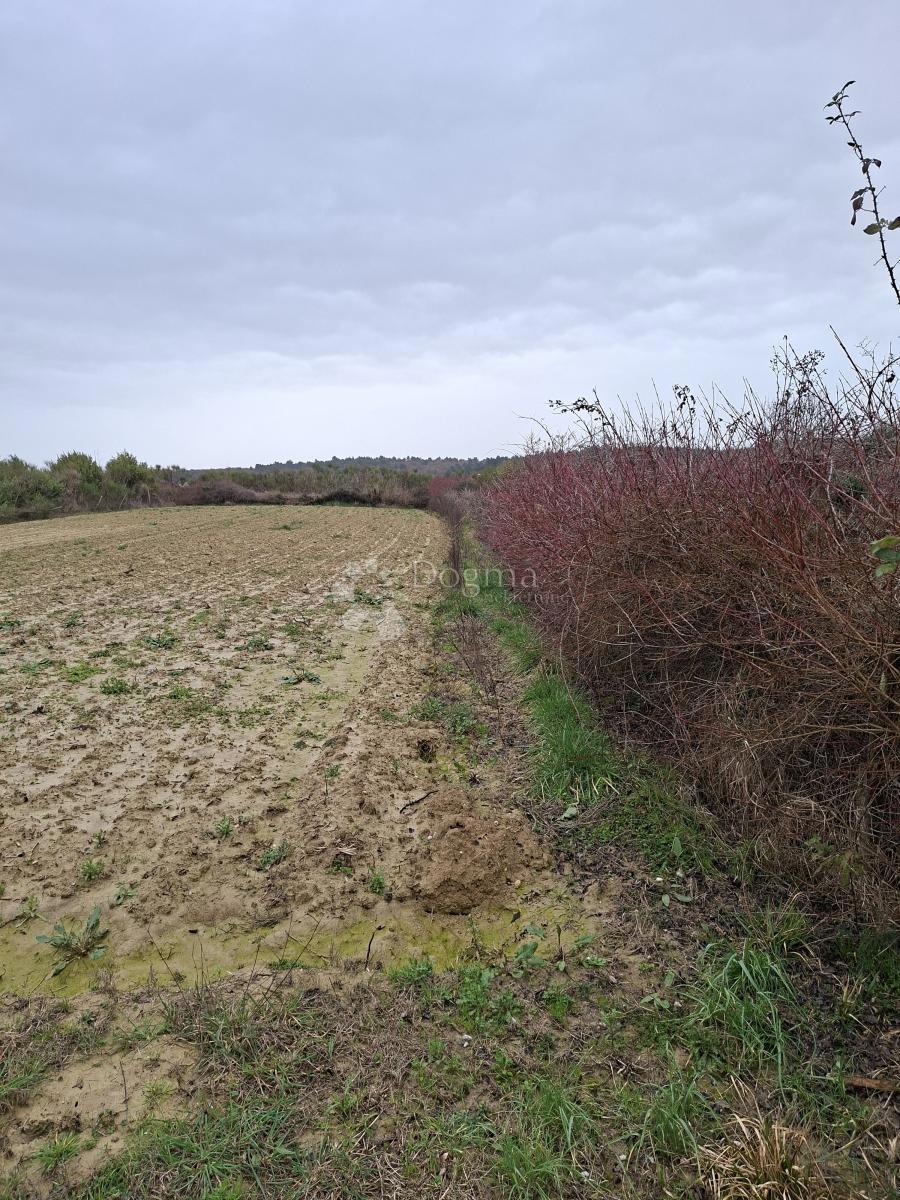 Kmetijsko zemljišče Krneza, Ražanac, 1.513m2