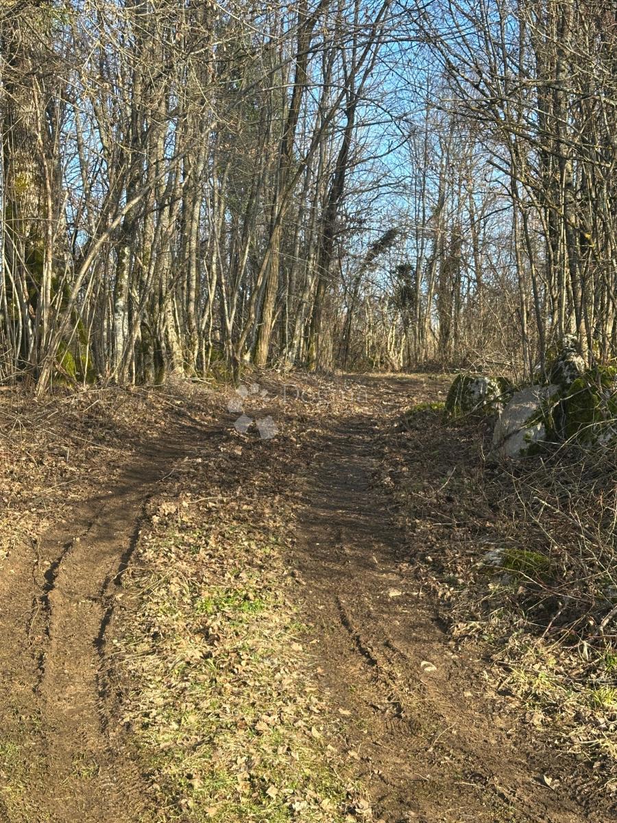 Hiša Barlete, Gospić - Okolica, 338m2
