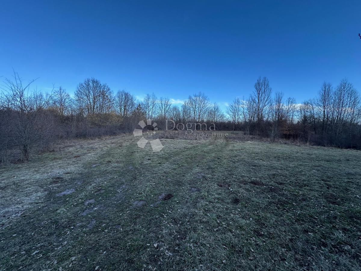 Hiša Barlete, Gospić - Okolica, 338m2