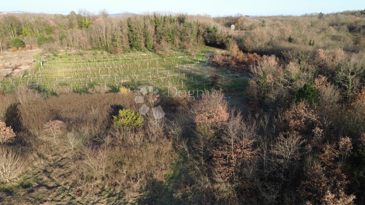 Hiša Labin, 3.211m2