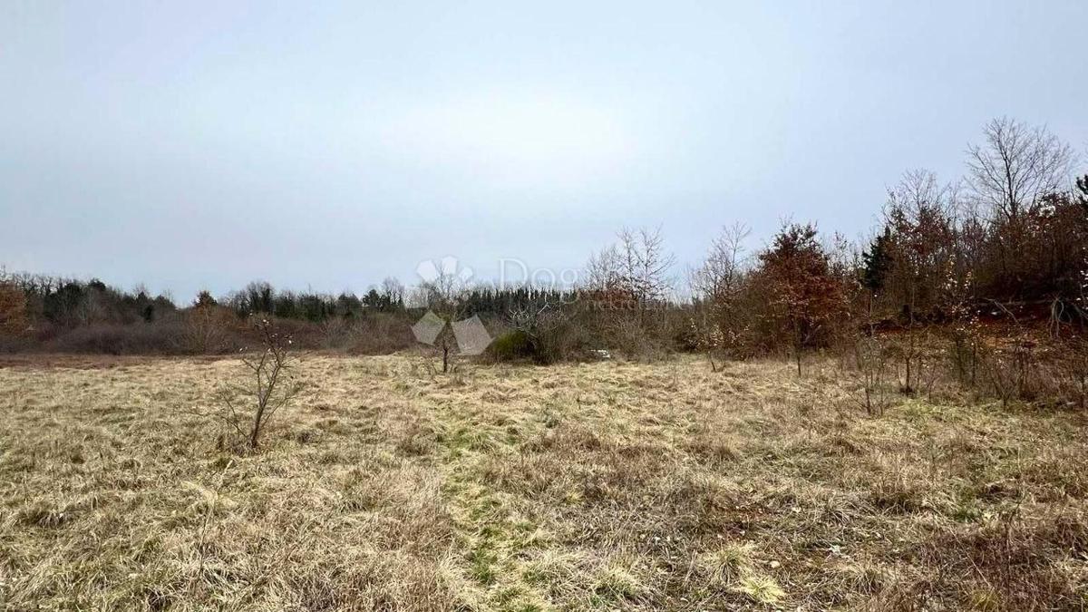 Hiša Labin, 3.211m2