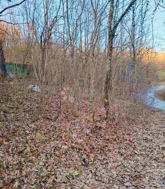 Kmetijsko zemljišče Popovo Selo, Ogulin, 7.513m2