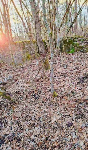 Kmetijsko zemljišče Popovo Selo, Ogulin, 7.513m2