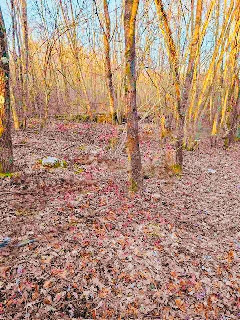 Kmetijsko zemljišče Popovo Selo, Ogulin, 7.513m2