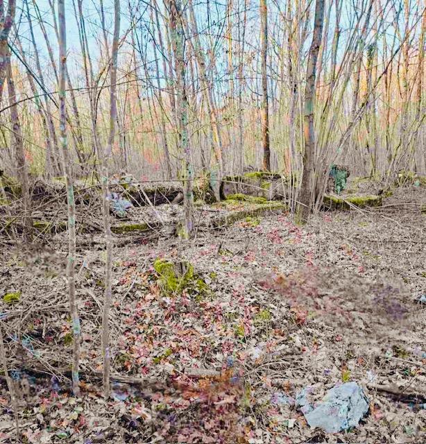 Kmetijsko zemljišče Popovo Selo, Ogulin, 7.513m2