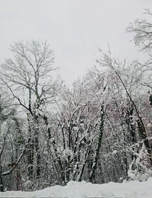 Kmetijsko zemljišče Popovo Selo, Ogulin, 7.513m2