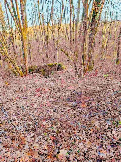 Kmetijsko zemljišče Popovo Selo, Ogulin, 7.513m2