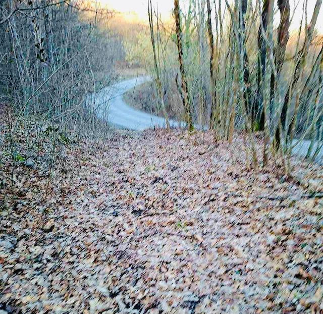 Kmetijsko zemljišče Popovo Selo, Ogulin, 7.513m2