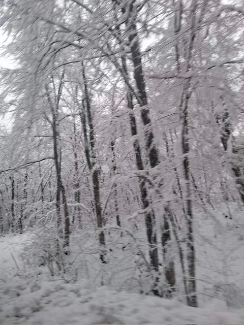 Kmetijsko zemljišče Popovo Selo, Ogulin, 7.513m2