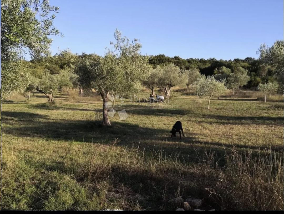 Kmetijsko zemljišče Rovinjsko Selo, Rovinj, 7.511m2