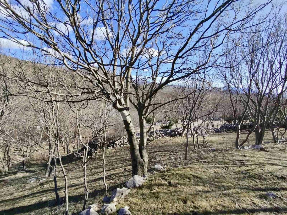 Hiša Bater, Novi Vinodolski, 150m2