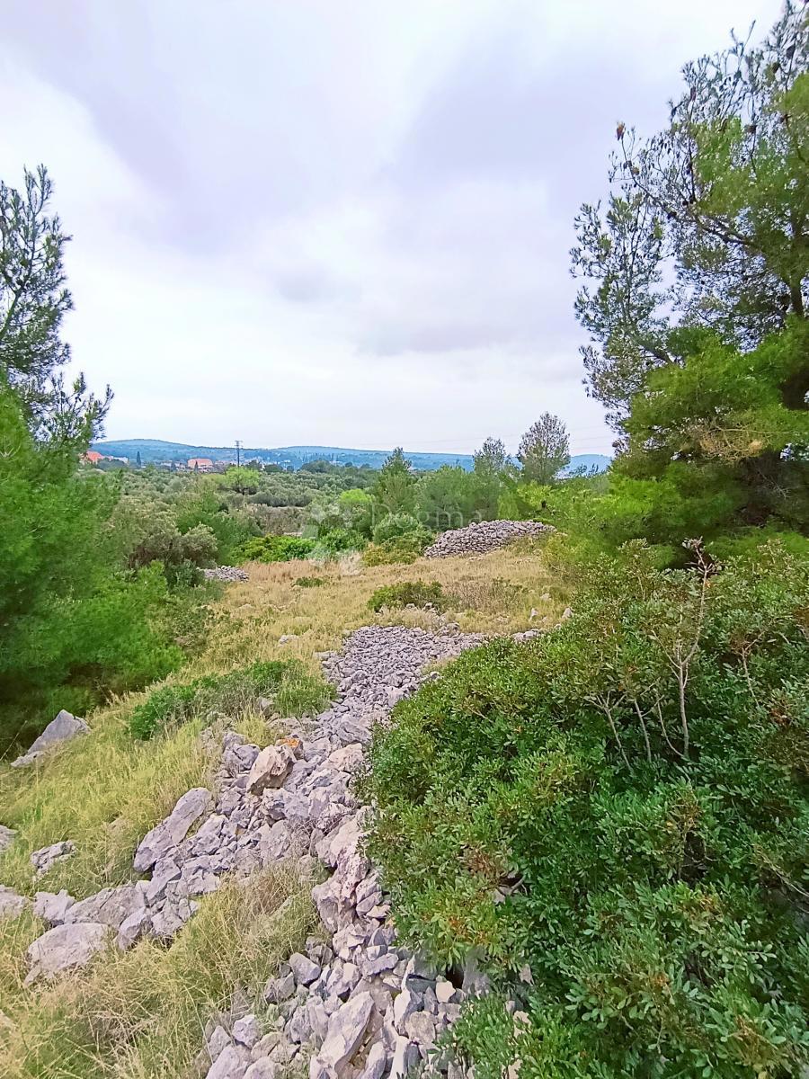 Kmetijsko zemljišče Milna, 9.608m2