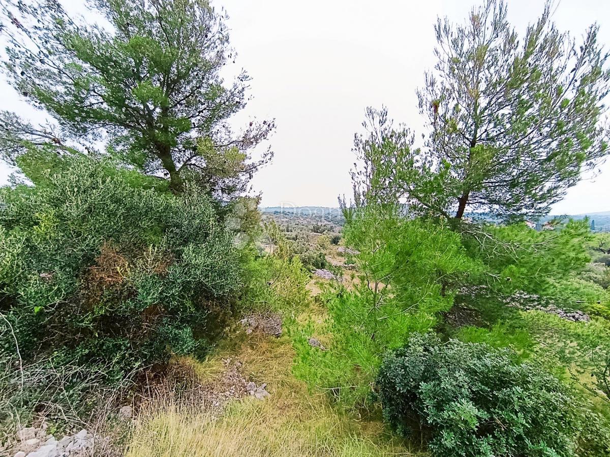 Kmetijsko zemljišče Milna, 9.608m2