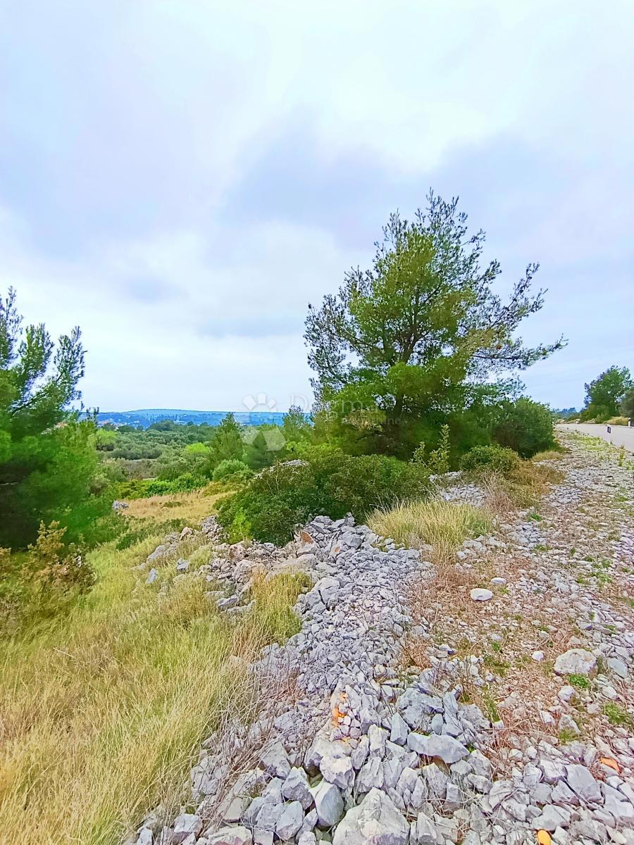 Kmetijsko zemljišče Milna, 9.608m2