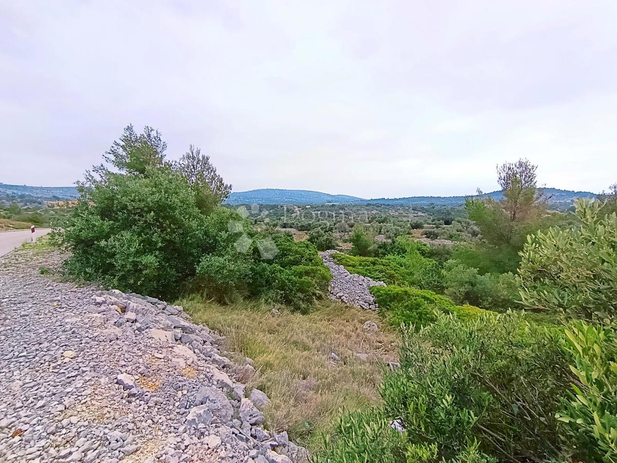 Kmetijsko zemljišče Milna, 9.608m2