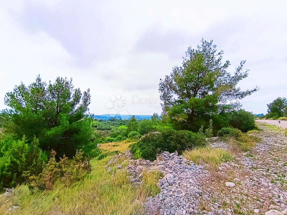 Kmetijsko zemljišče Milna, 9.608m2