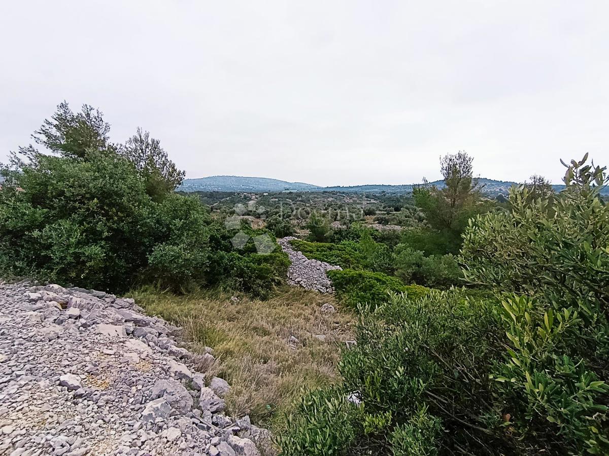 Kmetijsko zemljišče Milna, 9.608m2