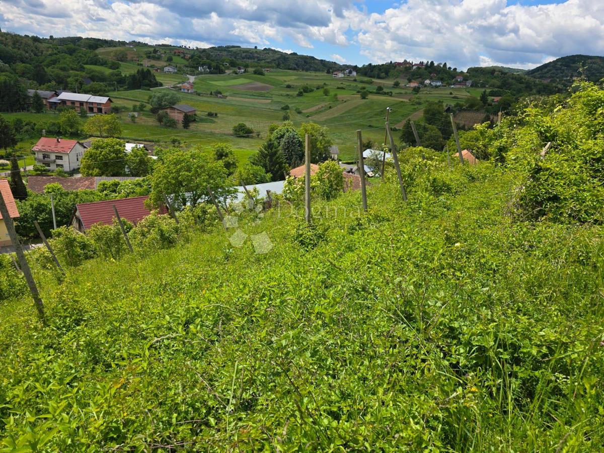 Hiša Gornje Psarjevo, Sveti Ivan Zelina, 885m2