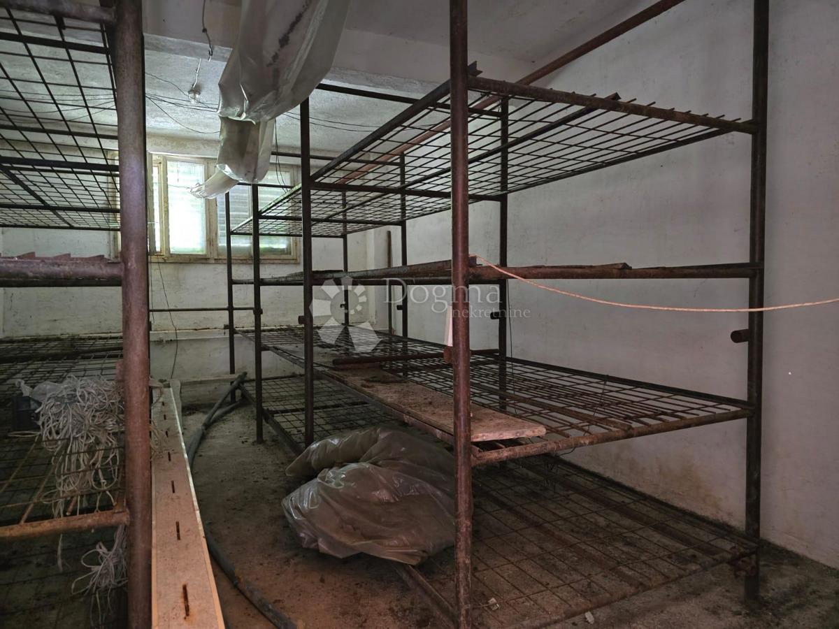 Hiša Gornje Psarjevo, Sveti Ivan Zelina, 885m2