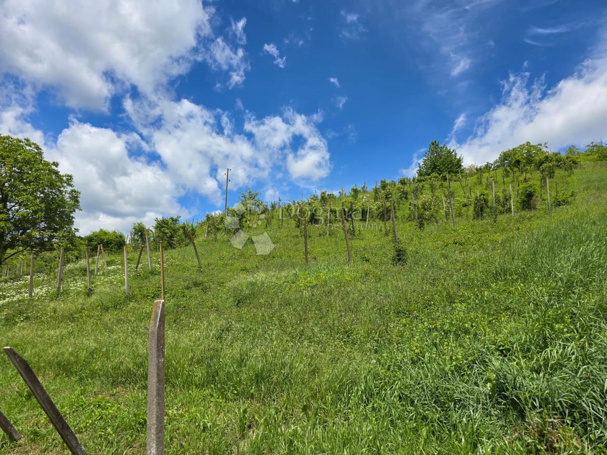 Hiša Gornje Psarjevo, Sveti Ivan Zelina, 885m2