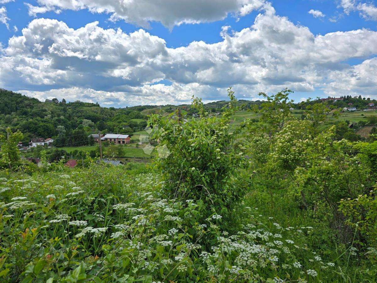 Hiša Gornje Psarjevo, Sveti Ivan Zelina, 885m2