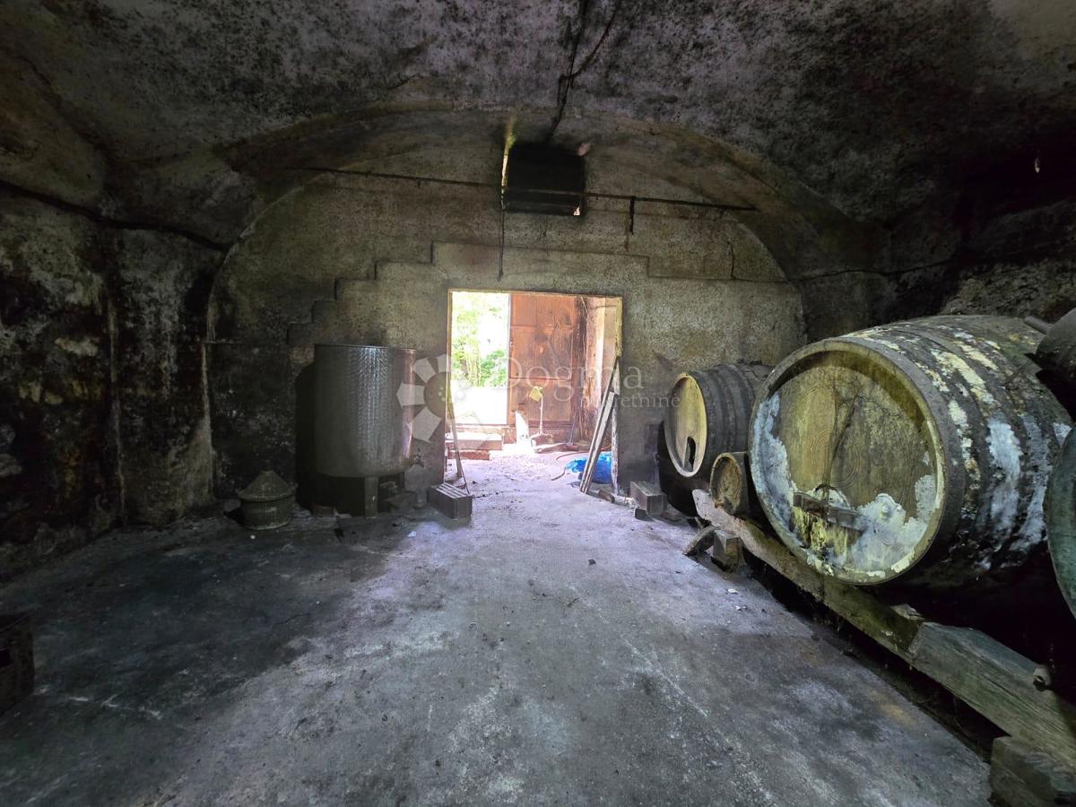 Hiša Gornje Psarjevo, Sveti Ivan Zelina, 885m2