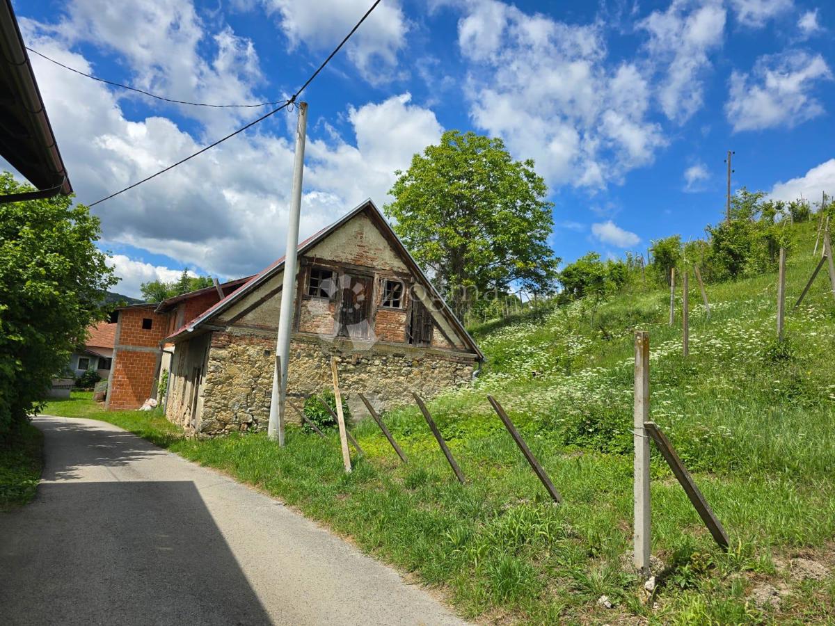 Hiša Gornje Psarjevo, Sveti Ivan Zelina, 885m2